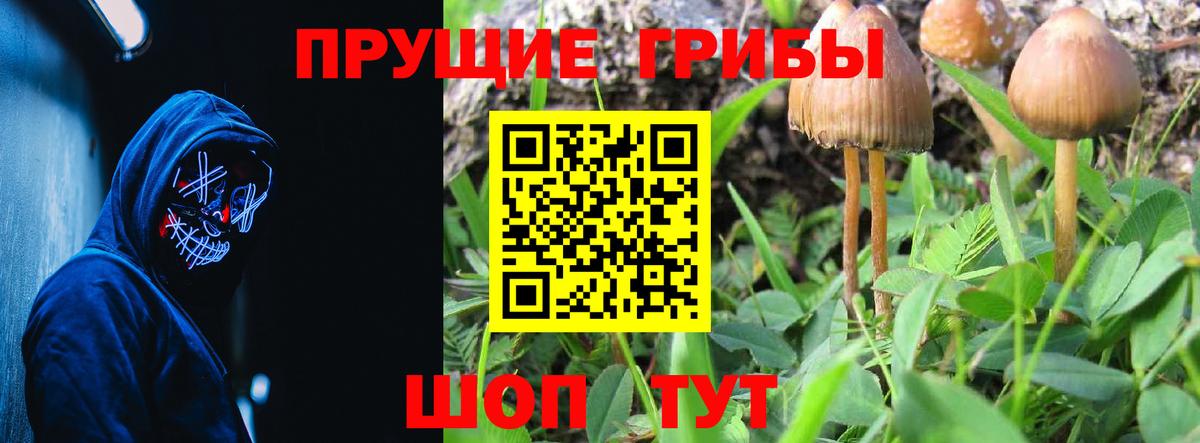 Псилоцибиновые грибы мухоморы  Псилоцибиновые грибы MAGIC MUSHROOMS  Вход с VPN  Кохма 