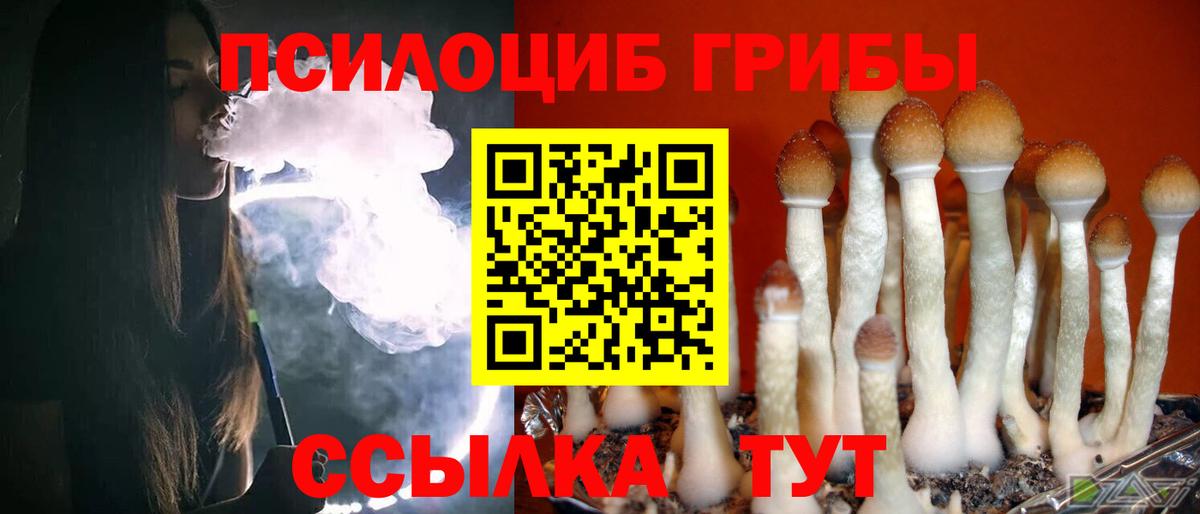 Галлюциногенные грибы Psilocybe Кохма